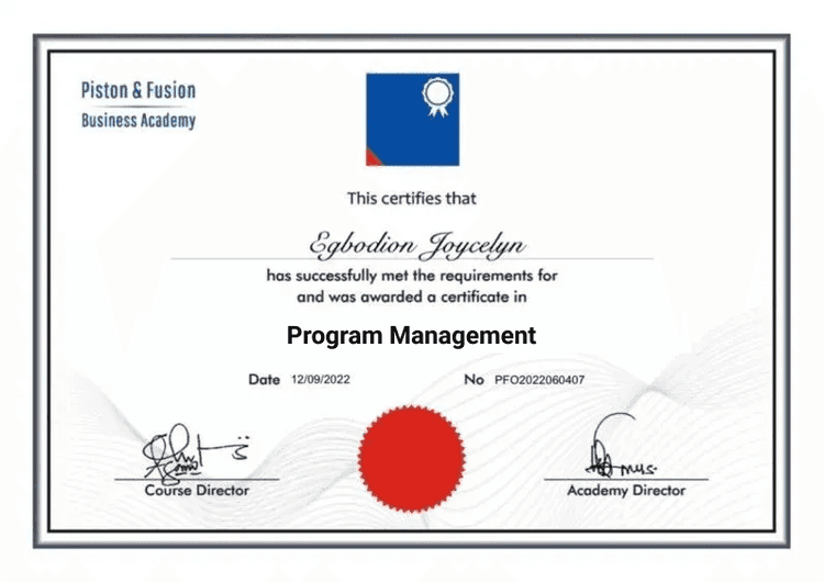 A Sample of the Program Management Certificate
